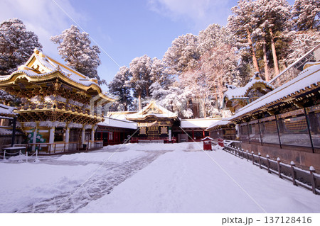 日光市　日光東照宮　雪景色の陽明門 137128416