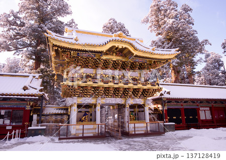日光市　日光東照宮　雪景色の陽明門 137128419