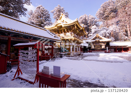 日光市　日光東照宮　雪景色の陽明門 137128420