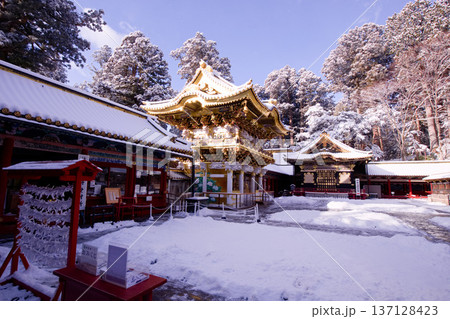 日光市　日光東照宮　雪景色の陽明門 137128423