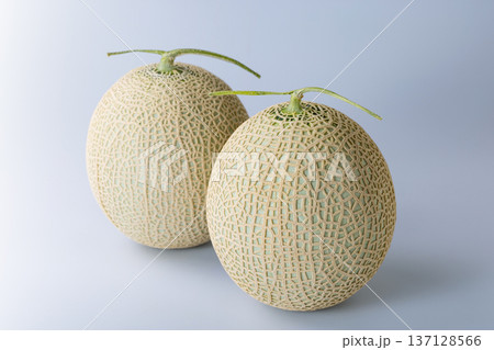 マスクメロン 137128566