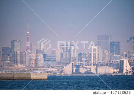 城南島海浜公園から望む飛行機 137128628