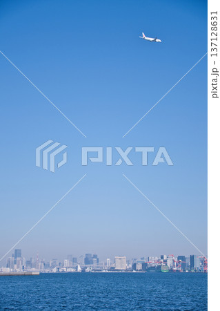 城南島海浜公園から望む飛行機 137128631