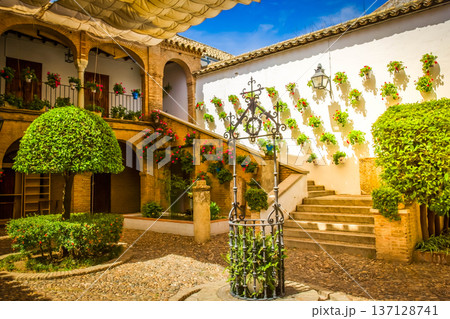Courtyard of a typical house in Cordoba, Spain Courtyard of a typical house in Cordoba, Spain 137128741