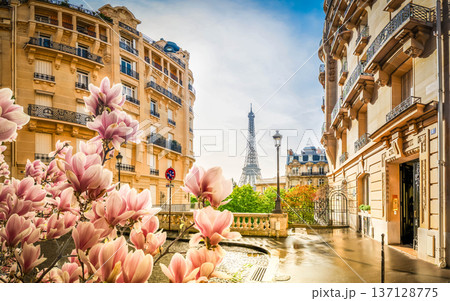 eiffel tour and Paris street 137128775