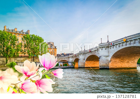 Bridge of Alexandre III, Paris, France 137128781