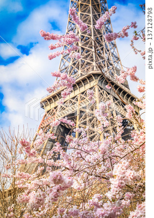 eiffel tour and from Trocadero, Paris eiffel tour and from Trocadero, Paris 137128798