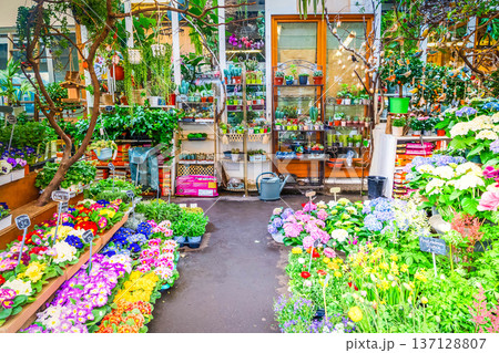 Paris flower market Paris flower market 137128807