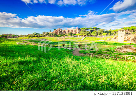 Forum - Roman ruins in Rome, Italy Forum - Roman ruins in Rome, Italy 137128891