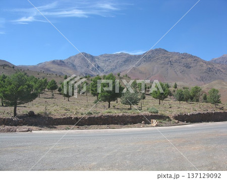 モロッコ・アトラス山脈越え モロッコ・アトラス山脈越え 137129092