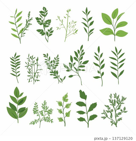 A variety of green leaf illustrations for creative use. 137129120