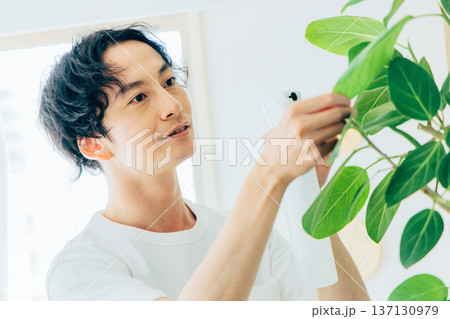 ライフスタイル　男性　観葉植物 137130979