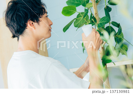 ライフスタイル　男性　観葉植物 137130981