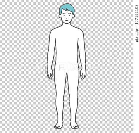 Illustration of a male human body/full-body model (front view) 137131108