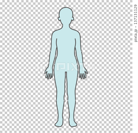 Human body diagram/full body silhouette base illustration (female, front view) 137131129