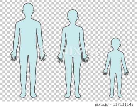 Human body diagram/full body silhouette base illustration set (male, female, child, front view) Human body diagram/full body silhouette base illustration set (male, female, child, front view) 137131148