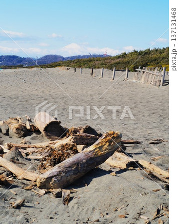 神奈川県　富士が見える休日の袖ヶ浜の景観　1月 137131468