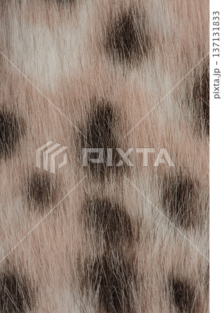 Cheetah fur coat fabric, white with brown, macro photo as a background. 137131833