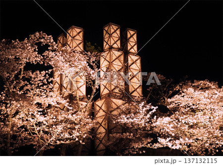 夜桜と韮山反射炉 夜桜と韮山反射炉 137132115
