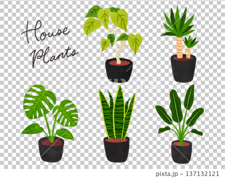 Set of 5 houseplants 1 - watercolor hand-drawn illustration Set of 5 houseplants 1 - watercolor hand-drawn illustration 137132121