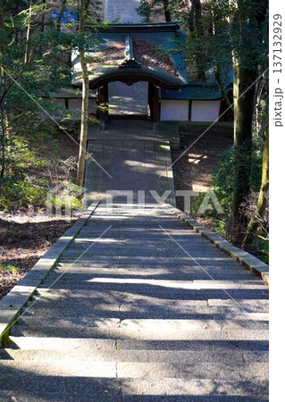 急な階段を見下ろす 137132929