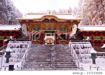 日光山輪王寺　大猷院　雪景色の夜叉門 137133089