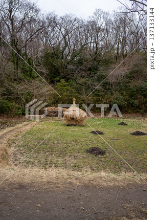 干した稲がある風景 137133144