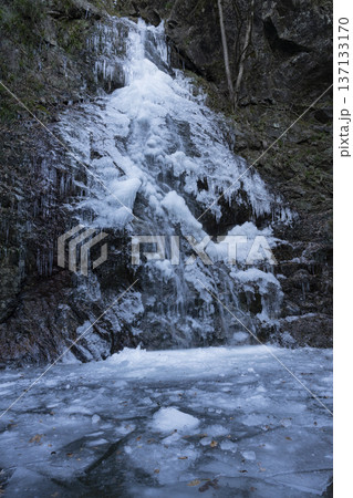凍結した払沢の滝 137133170