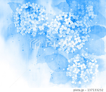幻想的な青い紫陽花の水彩画 幻想的な青い紫陽花の水彩画 137133232