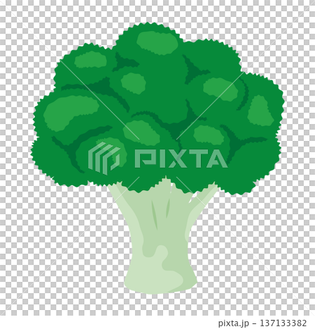 西蘭花向量圖標，葉菜類蔬菜插圖素材 137133382
