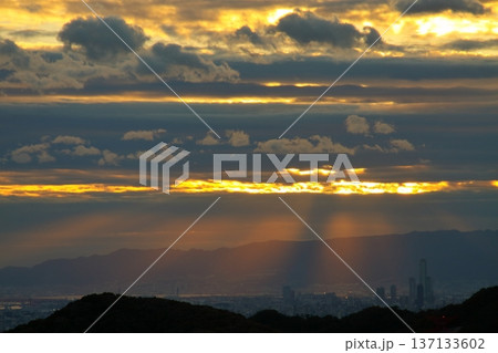 展望台からの風景 137133602