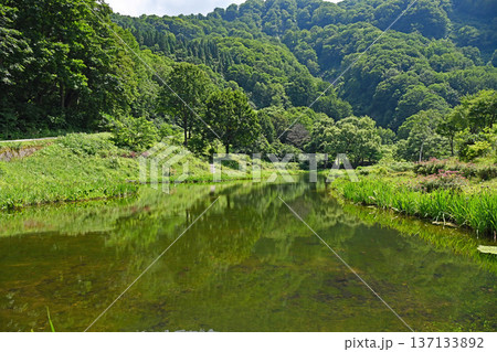 緑豊かな山々に囲まれた水面静かな高原のオアシス 137133892