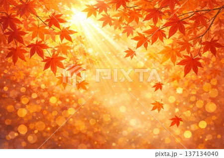 紅葉　もみじ　秋イメージ　アニメ風 137134040