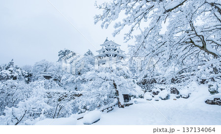 郡上八幡城（冬） 137134064