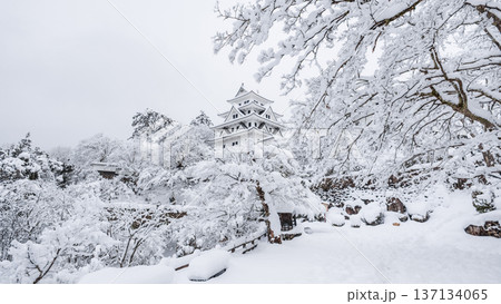 郡上八幡城（冬） 137134065