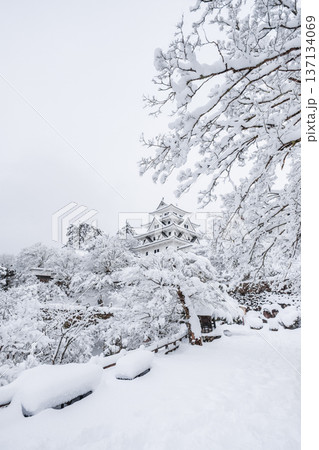 郡上八幡城（冬） 137134069