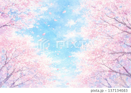 桜　満開の桜　桜並木　春イメージ　水彩画 137134083