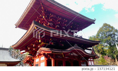 大分県中津市の大貞八幡宮薦神社 大分県中津市の大貞八幡宮薦神社 137134121