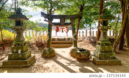大分県中津市の大貞八幡宮薦神社 大分県中津市の大貞八幡宮薦神社 137134143