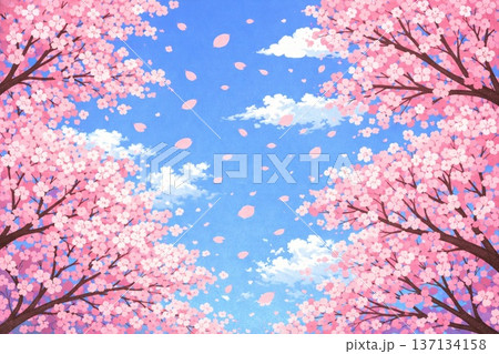 桜 満開の桜 桜並木 春イメージ ベクター 桜 満開の桜 桜並木 春イメージ ベクター 137134158