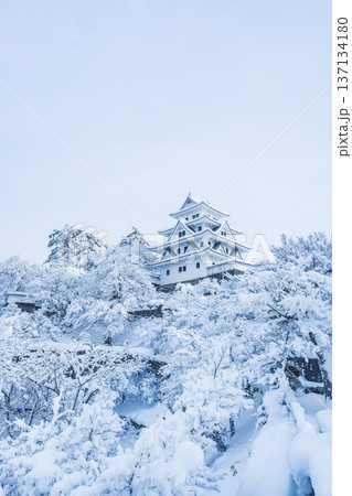 郡上八幡城(冬) 郡上八幡城(冬) 137134180
