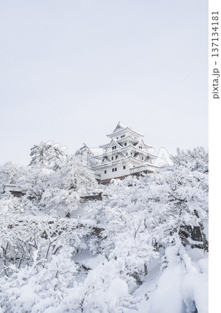 郡上八幡城（冬） 137134181