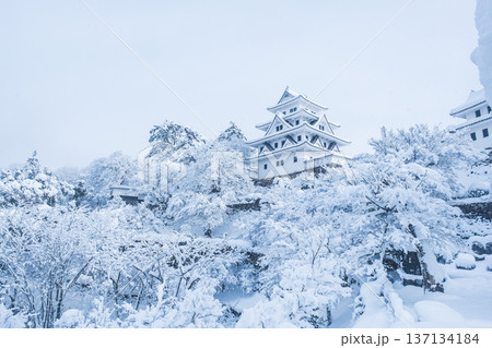 郡上八幡城(冬) 郡上八幡城(冬) 137134184