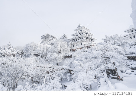 郡上八幡城（冬） 137134185