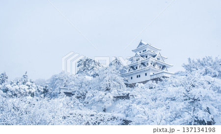 郡上八幡城（冬） 137134198
