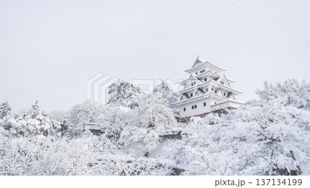 郡上八幡城（冬） 137134199