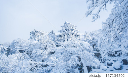 郡上八幡城（冬） 137134202