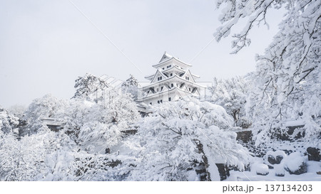 郡上八幡城（冬） 137134203