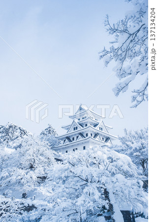 郡上八幡城（冬） 137134204