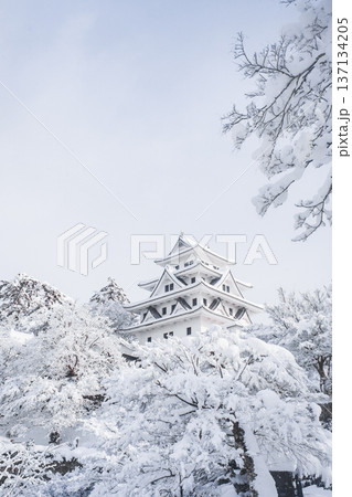 郡上八幡城（冬） 137134205